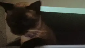 Задник до фильму"" #199724