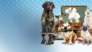 Задник до фильму"Готель для собак" #306696