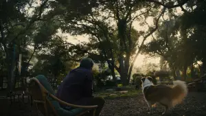 Задник до фильму"Гарний хлопчик" #693590