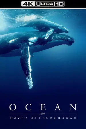 Постер до фильму"Ocean with David Attenborough" #783600