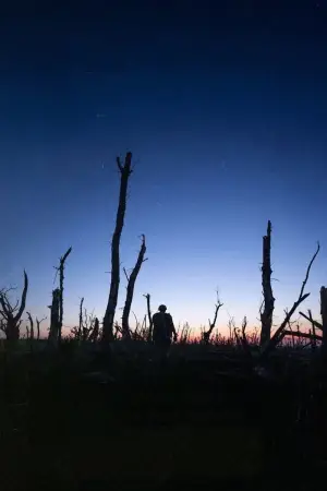 Постер до фильму"2000 метрів до Андріївки" #783487