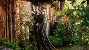 Задник до фильму"Чаклунка" #240530