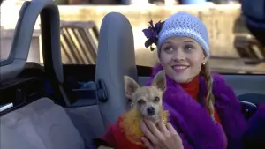 Задник до фильму"Білявка в законі" #616095