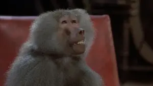 Задник до фильму"Муха" #218610