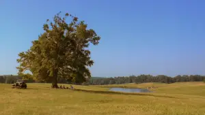 Задник до фильму"О, де ж ти, брате?" #810279