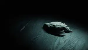 Задник до фильму"Гаррі Поттер та напівкровний принц" #798470