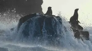 Задник до фильму"" #719354