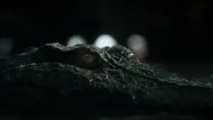 Задник до фильму"Хижаки" #604258