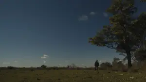 Задник до фильму"O Velho Nepo" #777148