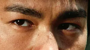 Задник до фильму"Великий бос" #726713