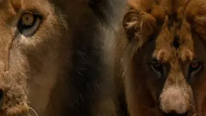 Задник до фильму"Привид і Пітьма" #265590