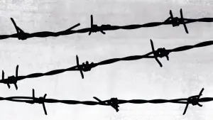 Задник до фильму"Ніч і туман" #440435