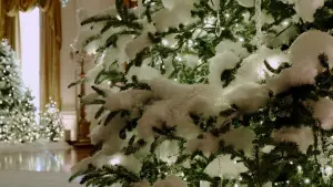 Задник до фильму"Червоний, білий та королівський синій" #576521