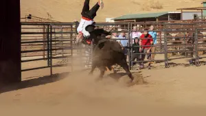 Задник до фильму"Диваки форева" #484676