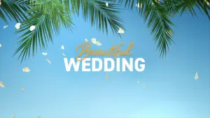 Задник до фильму"Моє прекрасне весілля" #190134