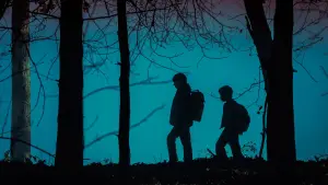 Задник до фильму"Салимове лігво" #583714