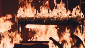 Задник до фильму"Звір" #755976