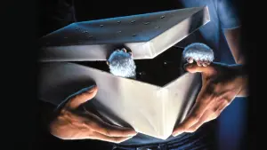 Задник до фильму"Гремліни" #240398