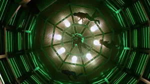 Задник до фильму"Люди Ікс: Апокаліпсис" #721712