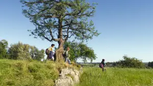 Задник до фильму"A Hero