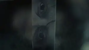 Задник до фильму"" #508824