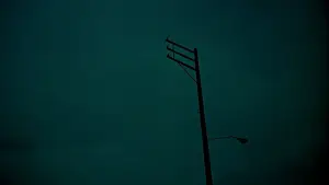 Задник до фильму"Слон" #792736