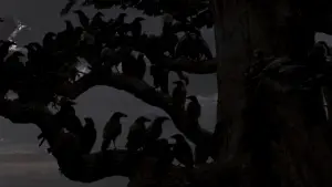 Задник до фильму"Птахи" #677196