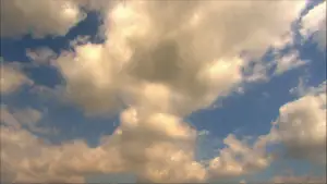Задник до фильму"下妻物語" #876842