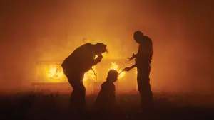 Задник до фильму"" #445539