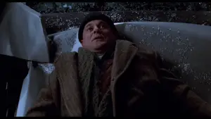 Задник до фильму"Сам удома 2: Загублений у Нью-Йорку" #567268