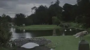 Задник до фильму"Лабіринт" #659071