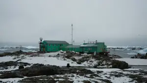 Задник до фильму"Антарктида" #670577