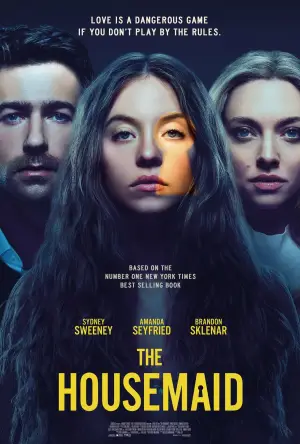 Постер до фильму"Горничная" #507284