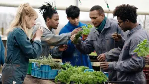 Задник до фильму"" #352491