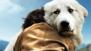 Задник до фильму"" #251775