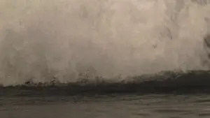 Задник до фильму"Мобі Дік" #725696