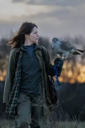 Постер до фильму"«Я» означає Яструб" #535670