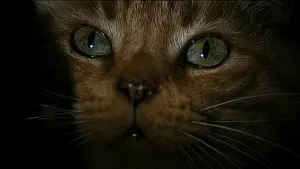 Задник до фильму"Чужий" #177172