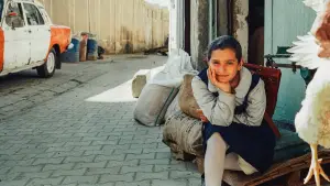 Задник до фильму"Торт для президента" #525247