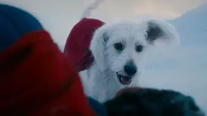 Задник до фильму"Супермен: Спадок" #513664