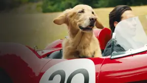 Задник до фильму"Очима собаки" #175811