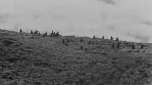 Задник до фильму"Сім самураїв" #605733