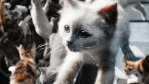 Задник до фильму"Марвели" #605027