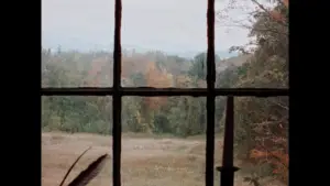 Задник до фильму"" #544580