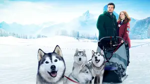 Задник до фильму"" #682215