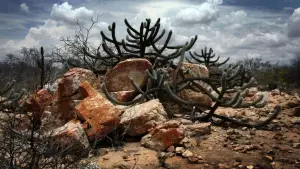 Задник до фильму"" #733343