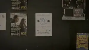 Задник до фильму"Birds Eye View" #573928