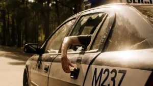 Задник до фильму"Сьогодні в лісі не до сну 2" #438855