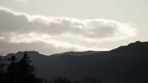 Задник до фильму"" #477271