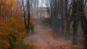 Задник до фильму"Найвеличніший шоумен" #580215